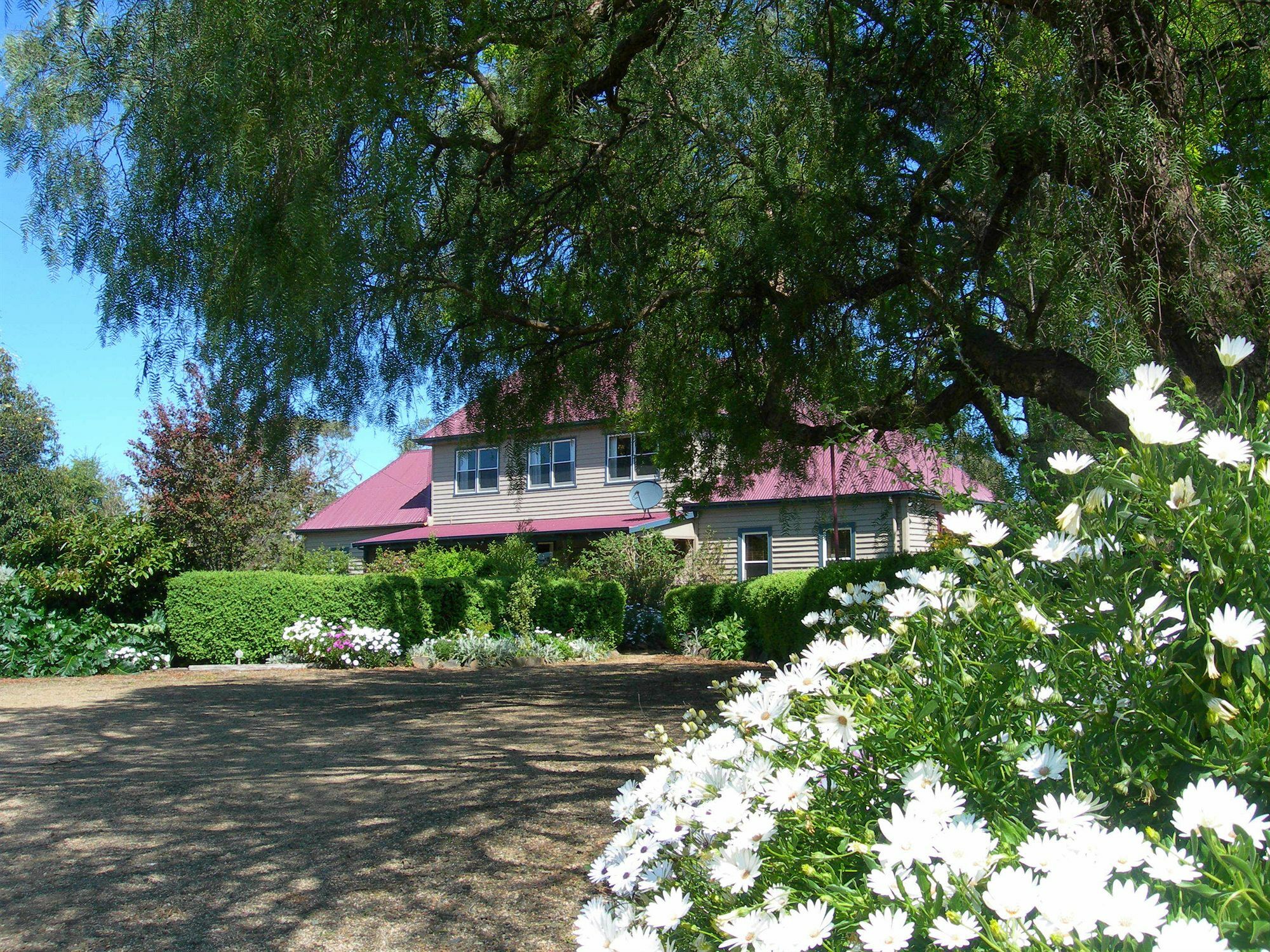 Redcliffe House Colonial Bed & Breakfast スワンシー エクステリア 写真